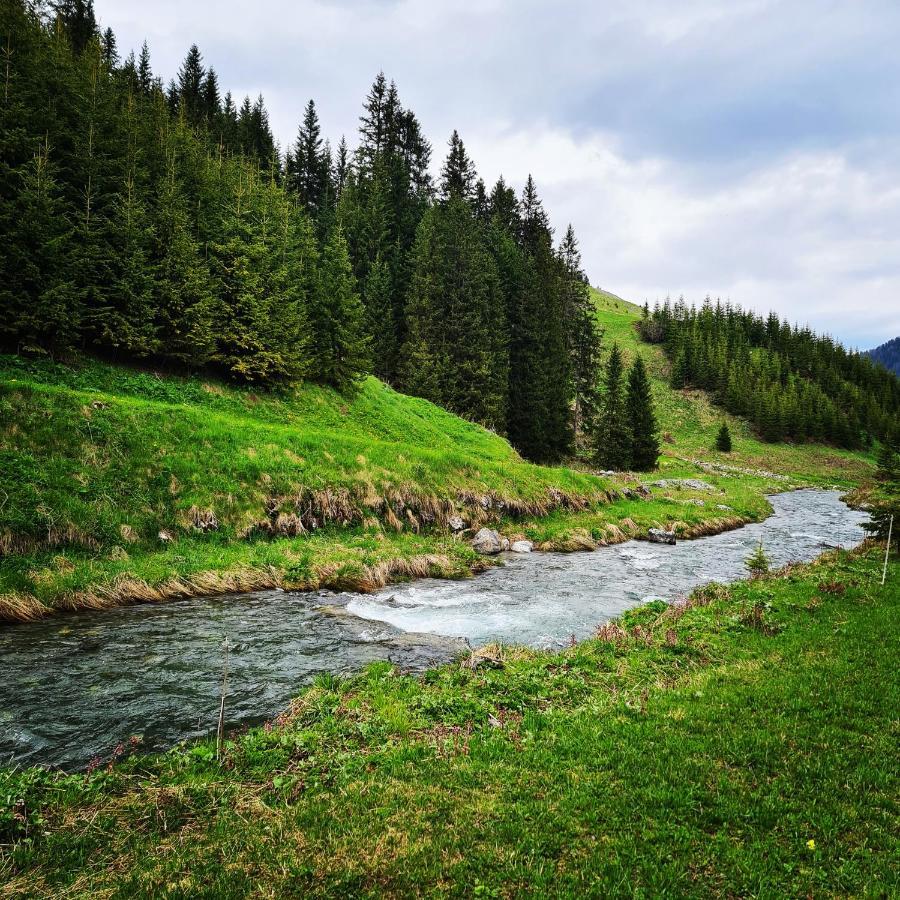 Fewo D'Rock Arosa- Center Of Nightlife By Nature Apartments Switzerland Extérieur photo