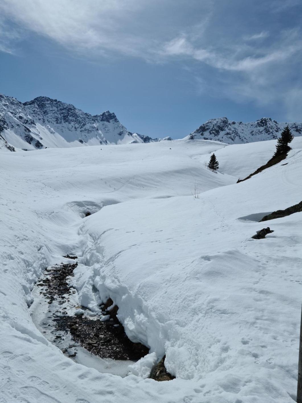 Fewo D'Rock Arosa- Center Of Nightlife By Nature Apartments Switzerland Extérieur photo