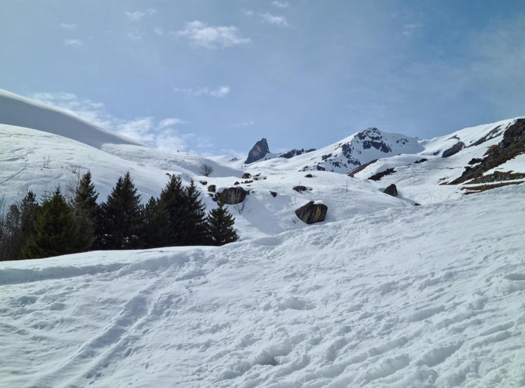 Fewo D'Rock Arosa- Center Of Nightlife By Nature Apartments Switzerland Extérieur photo